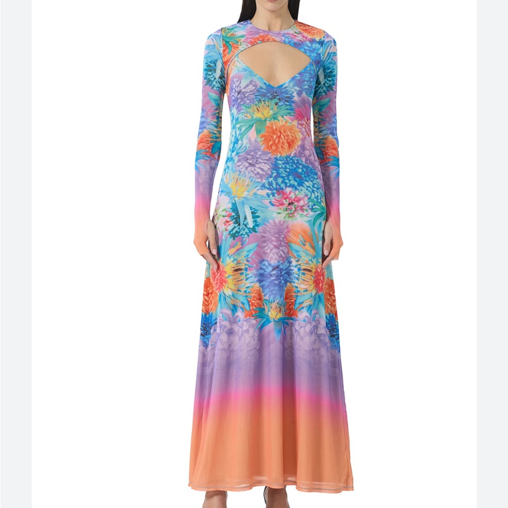 AFRM Multicolor Floral Long Sleeve Dress